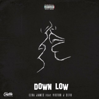 DOWN LOW