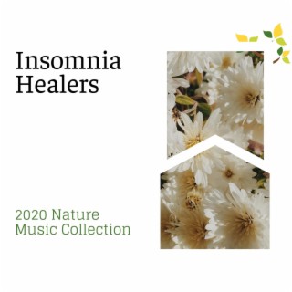 Insomnia Healers - 2020 Nature Music Collection