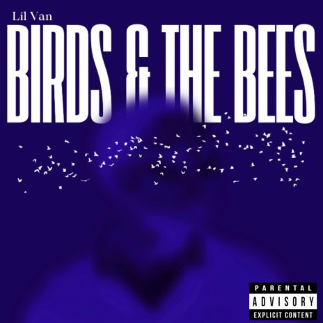 Birds & The Bees | Boomplay Music