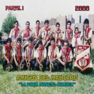 La Furia Musical Huanca Pt. 1