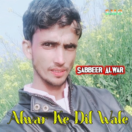 Alwar Ke Dil Wale | Boomplay Music