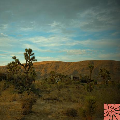 Joshua Tree Escape