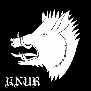 Knur