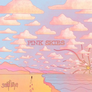 Pink Skies lyrics | Boomplay Music