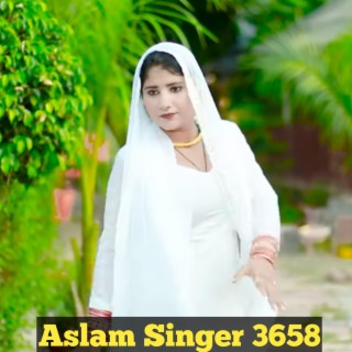 Aslam Singer 3658