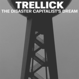 The Disaster Capitalist's Dream