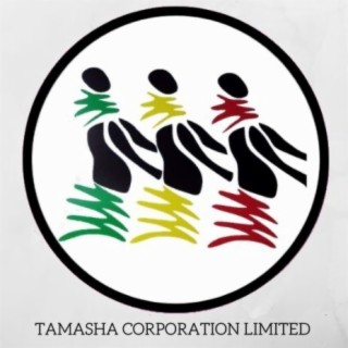 Various Artists Tamasha Records