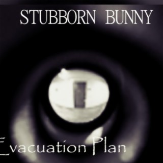 Stubborn Bunny