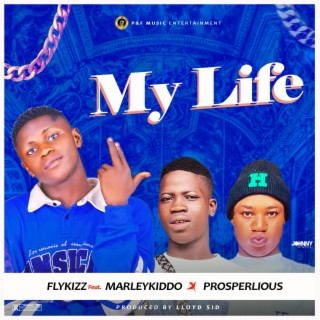 My life ft. Marleykiddo & Prosperlious lyrics | Boomplay Music