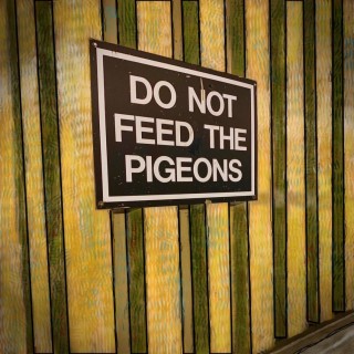 DO NOT FEED THE PIGEONS