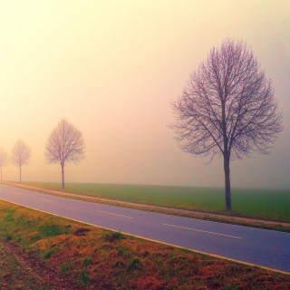 Nella nebbia