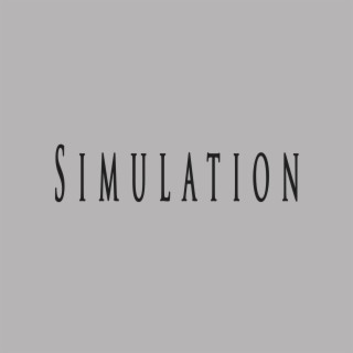 Simulation