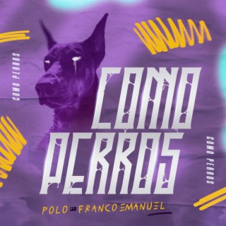 Como PERROS ft. Franco Emanuel lyrics | Boomplay Music