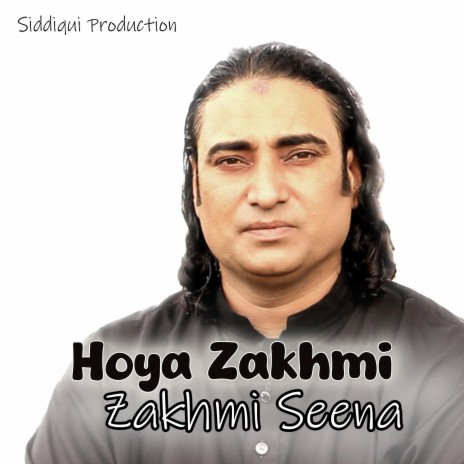 Hoya Zakhmi Zakhmi Seena | Boomplay Music