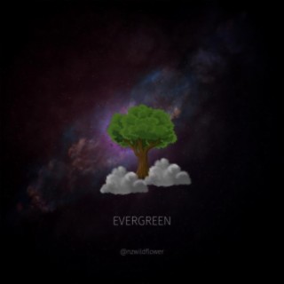 Evergreen lyrics | Boomplay Music