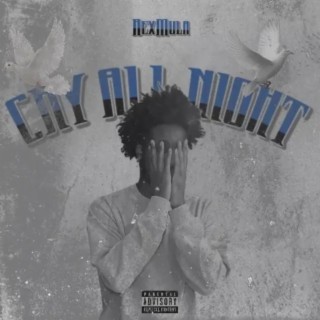 Cry All Night lyrics | Boomplay Music