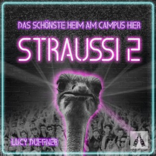 Straussi 2 - Das schönste Heim am Campus hier