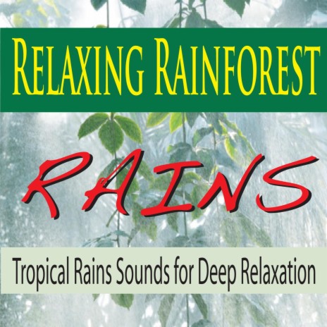 Tropical Rain Sounds Along the Amazon | Boomplay Music