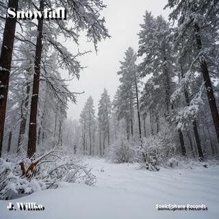 Snowfall