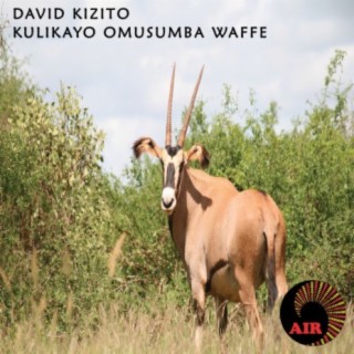 David Kizito