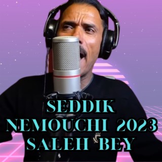 Saleh Bey