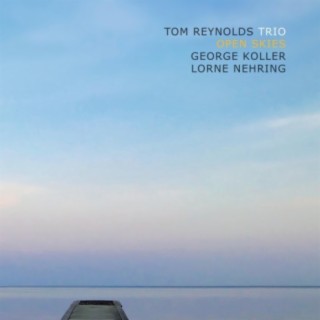 Tom Reynolds Trio