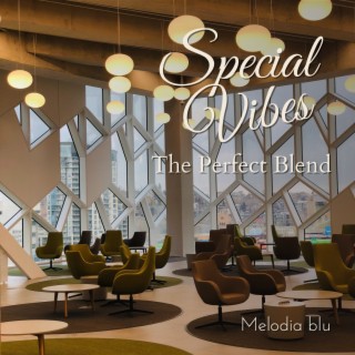 Special Vibes - The Perfect Blend