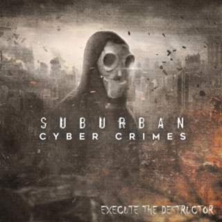 Suburban Cyber Crimes