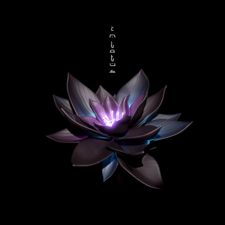 In Lotus | Boomplay Music
