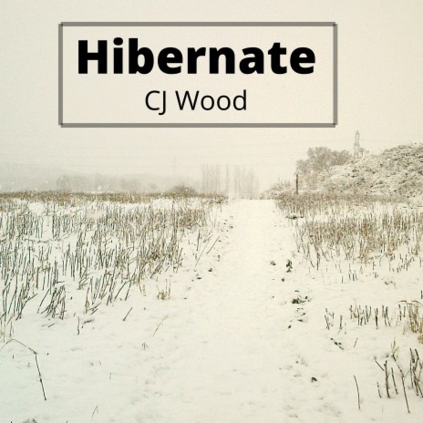 Hibernate | Boomplay Music