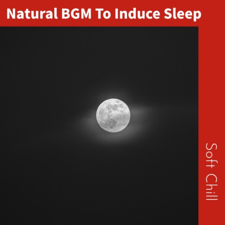 Gentle Sleep | Boomplay Music