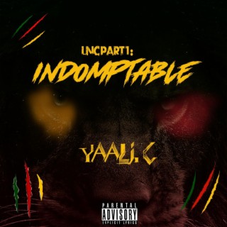 LNC Pt. 1: Indomptable lyrics | Boomplay Music