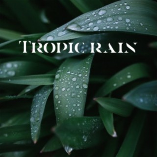 Tropic Rain