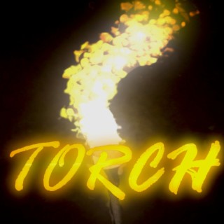 TORCH