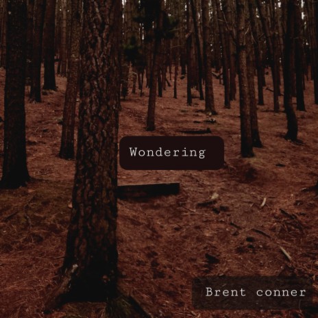 Wondering | Boomplay Music