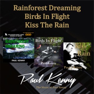Rainforest Dreaming, Birds In Flight, Kiss The Rain Complilation Album