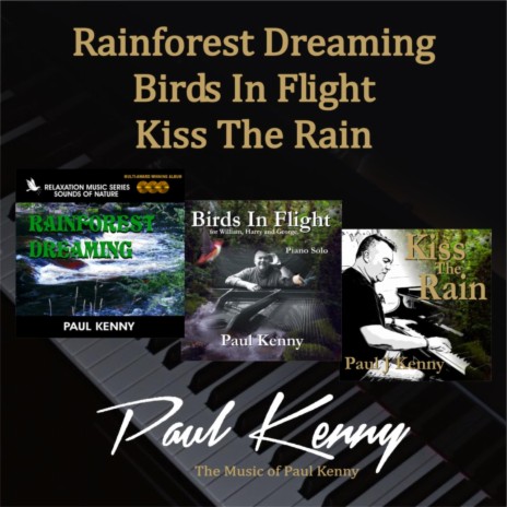 Birds In Flight (Piano Solo)