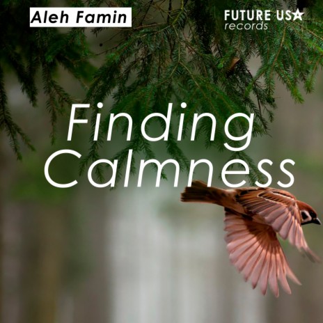 Finding Calmness