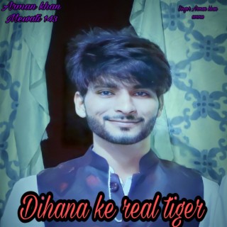 Dihana Ke Real Tiger