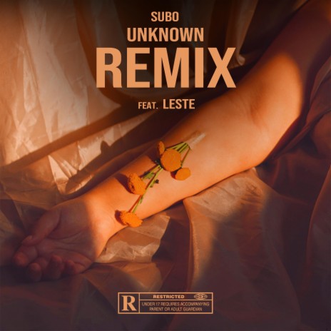 Unknown (Leste Remix) ft. Leste | Boomplay Music