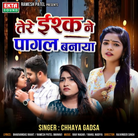 Tere Ishqne Pagal Banaya | Boomplay Music