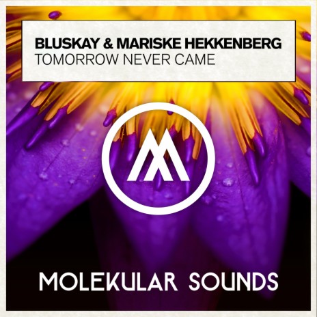 Tomorrow Never Came (Extended Mix) ft. Mariske Hekkenberg | Boomplay Music