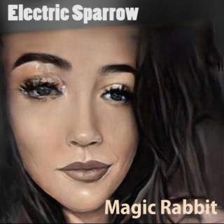 Magic Rabbit