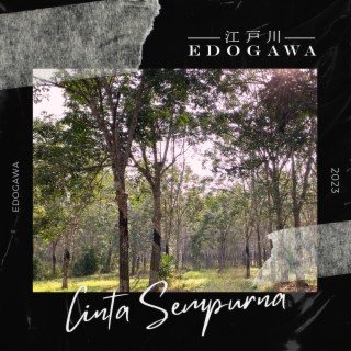 Cinta Sempurna (Extended Version)