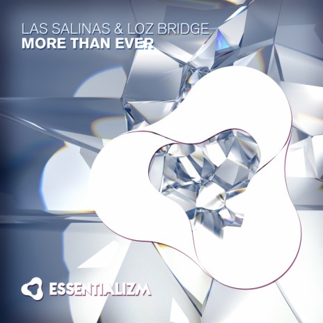 More Than Ever (Radio Edit) ft. Loz Bridge | Boomplay Music