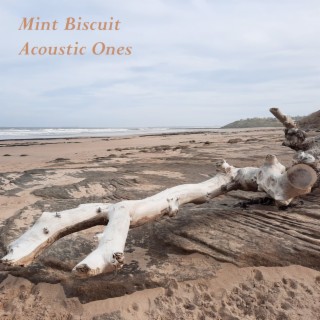 Acoustic Ones