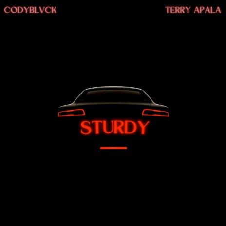 Sturdy ft. Terry apala | Boomplay Music