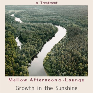 Mellow Afternoonα-Lounge - Growth in the Sunshine