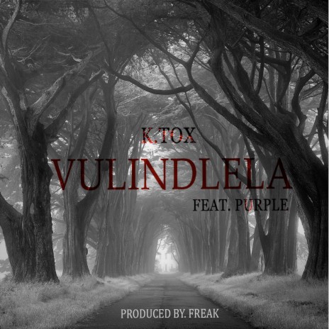 Vulindlela ft. Purple | Boomplay Music