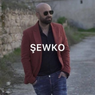 Şewko